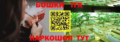 крисы Новокубанск
