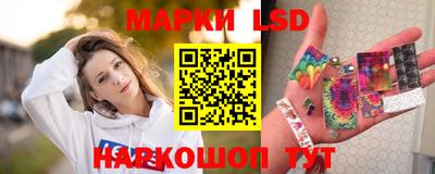 твердый Новодвинск