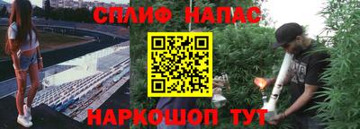 каннабис Новозыбков