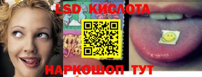 крисы Новокубанск