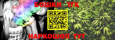 крисы Новокубанск