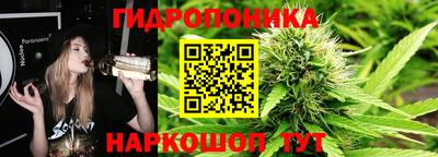 твердый Новодвинск