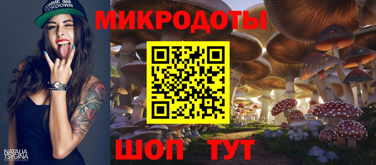 Псилоцибиновые грибы Psilocybe Хасавюрт