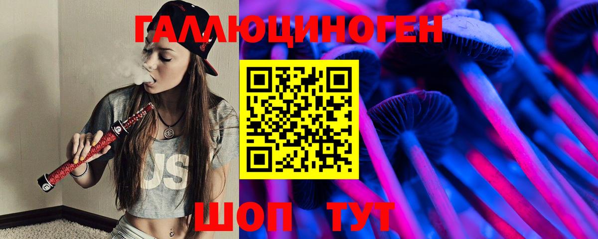 Псилоцибиновые грибы GOLDEN TEACHER  как найти закладки  Хасавюрт  Вход с VPN 